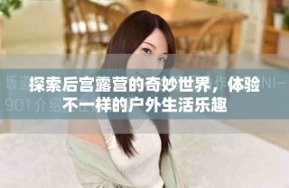 探索后宫露营的奇妙世界，体验不一样的户外生活乐趣