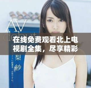在线免费观看北上电视剧全集，尽享精彩剧情与演技之美