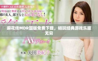 麻花传MDR国版免费下载，畅玩经典游戏乐趣无穷