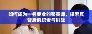 如何成为一名专业的鉴黄师，探索其背后的职责与挑战
