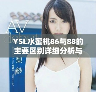 YSL水蜜桃86与88的主要区别详细分析与推荐
