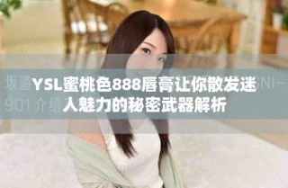 YSL蜜桃色888唇膏让你散发迷人魅力的秘密武器解析