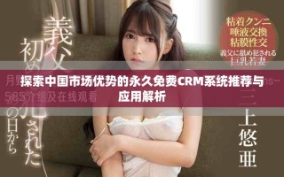 探索中国市场优势的永久免费CRM系统推荐与应用解析