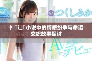 扌喿辶畐小说中的情感纷争与命运交织故事探讨