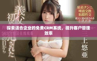 探索适合企业的免费CRM系统，提升客户管理效率