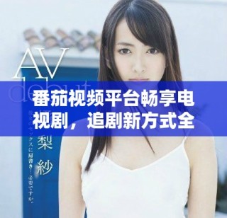 番茄视频平台畅享电视剧，追剧新方式全体验