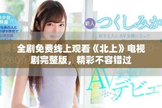 全剧免费线上观看《北上》电视剧完整版，精彩不容错过