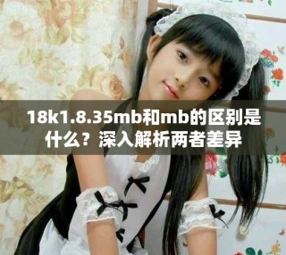 18k1.8.35mb和mb的区别是什么？深入解析两者差异