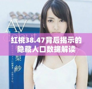 红桃38.47背后揭示的隐藏人口数据解读