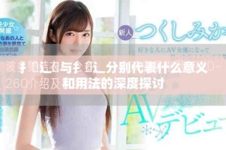 扌喿辶畑与扌喿辶分别代表什么意义和用法的深度探讨