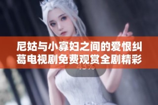尼姑与小寡妇之间的爱恨纠葛电视剧免费观赏全剧精彩内容
