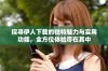 探寻伊人下载的独特魅力与实用功能，全方位体验尽在其中