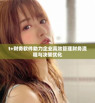 t+财务软件助力企业高效管理财务流程与决策优化