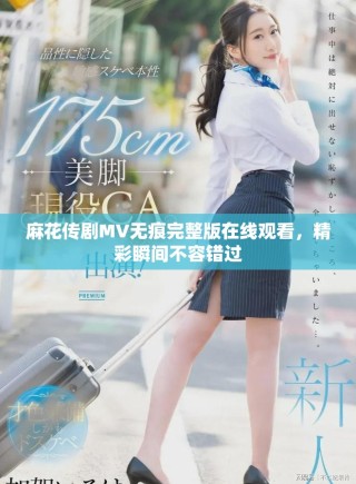 麻花传剧MV无痕完整版在线观看，精彩瞬间不容错过