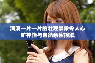 满满一片一片的壮观景象令人心旷神怡与自然亲密接触