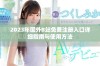 2023年国外B站免费注册入口详细指南与使用方法