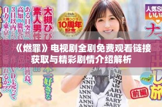 《燃罪》电视剧全剧免费观看链接获取与精彩剧情介绍解析