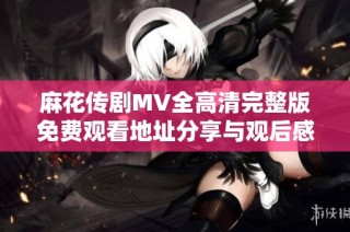 麻花传剧MV全高清完整版免费观看地址分享与观后感解析