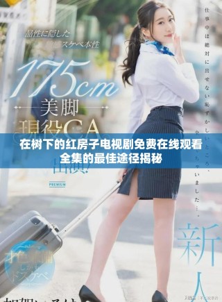 在树下的红房子电视剧免费在线观看全集的最佳途径揭秘