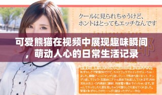 可爱熊猫在视频中展现趣味瞬间，萌动人心的日常生活记录