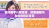 婆媳携手共度旅程，探索亲情与友情的精彩冒险