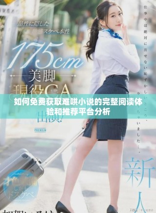 如何免费获取难哄小说的完整阅读体验和推荐平台分析