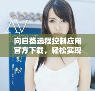 向日葵远程控制应用官方下载，轻松实现跨设备远程管理体验