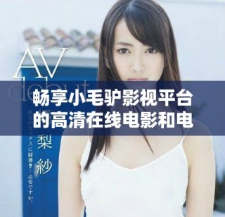 畅享小毛驴影视平台的高清在线电影和电视剧观看体验