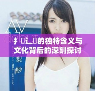 扌喿辶畐的独特含义与文化背后的深刻探讨