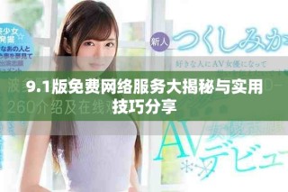 9.1版免费网络服务大揭秘与实用技巧分享