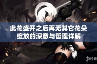 此花盛开之后再无其它花朵绽放的深意与哲理详解
