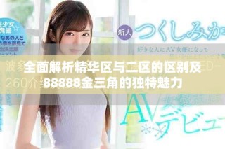 全面解析精华区与二区的区别及88888金三角的独特魅力