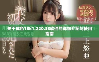 关于成色18k1.220.38软件的详细介绍与使用指南