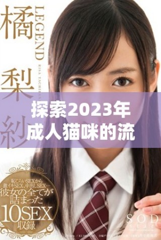 探索2023年成人猫咪的流行地域网名有哪些新趋向