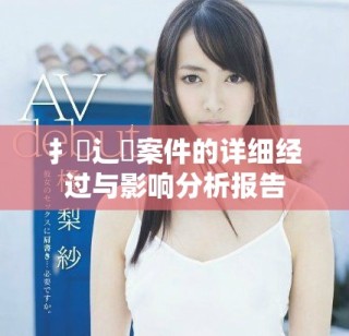 扌喿辶畐案件的详细经过与影响分析报告