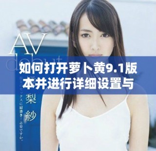 如何打开萝卜黄9.1版本并进行详细设置与使用指导