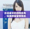 珍品鉴定的独特视角，探索神秘宝物背后的故事与价值