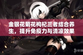 金银花菊花枸杞三者结合养生，提升免疫力与清凉效果