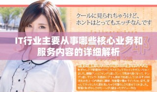 IT行业主要从事哪些核心业务和服务内容的详细解析