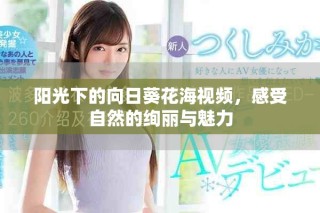 阳光下的向日葵花海视频，感受自然的绚丽与魅力