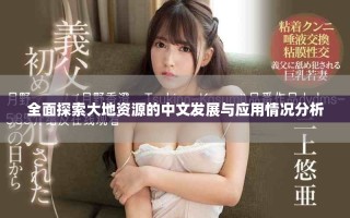 全面探索大地资源的中文发展与应用情况分析