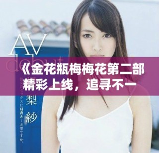 《金花瓶梅梅花第二部精彩上线，追寻不一样的故事与情感》