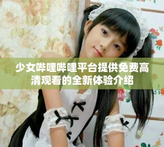 少女哔哩哔哩平台提供免费高清观看的全新体验介绍