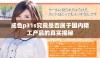 成色p31s究竟是否属于国内精工产品的真实揭秘