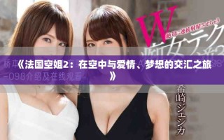 《法国空姐2：在空中与爱情、梦想的交汇之旅》