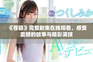 《苍狼》完整剧集在线观看，感受震撼的故事与精彩演技