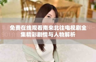 免费在线观看南来北往电视剧全集精彩剧情与人物解析