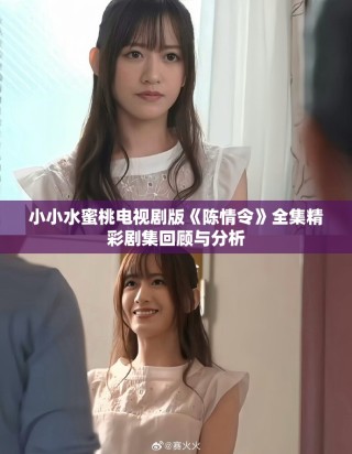 小小水蜜桃电视剧版《陈情令》全集精彩剧集回顾与分析