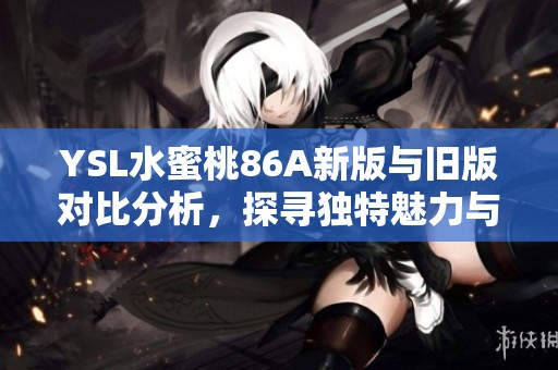 YSL水蜜桃86A新版与旧版对比分析，探寻独特魅力与变化之处