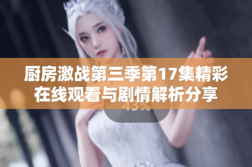 厨房激战第三季第17集精彩在线观看与剧情解析分享